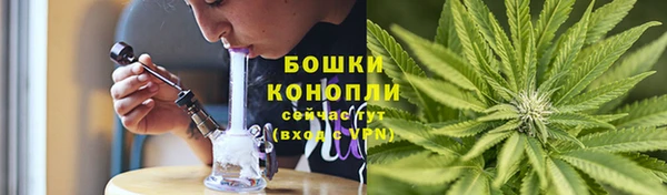 сатива Волоколамск