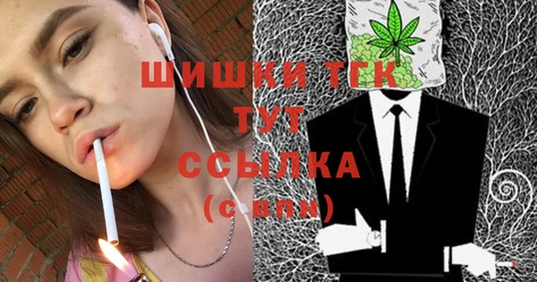 сатива Волоколамск