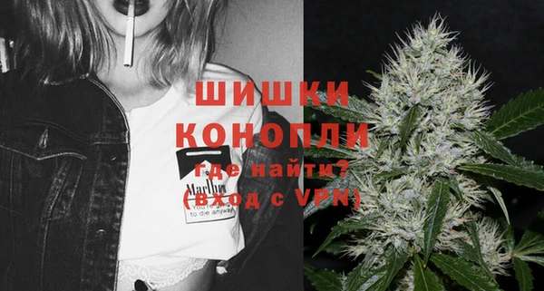 сатива Волоколамск