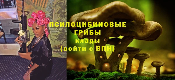 соль ск Володарск