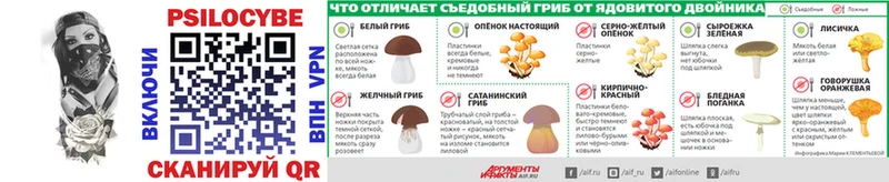 Псилоцибиновые грибы Psilocybine cubensis  где купить наркоту  Камешково 