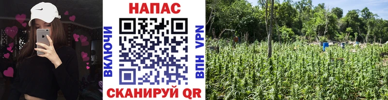 Канабис OG Kush  хочу наркоту  Камешково 